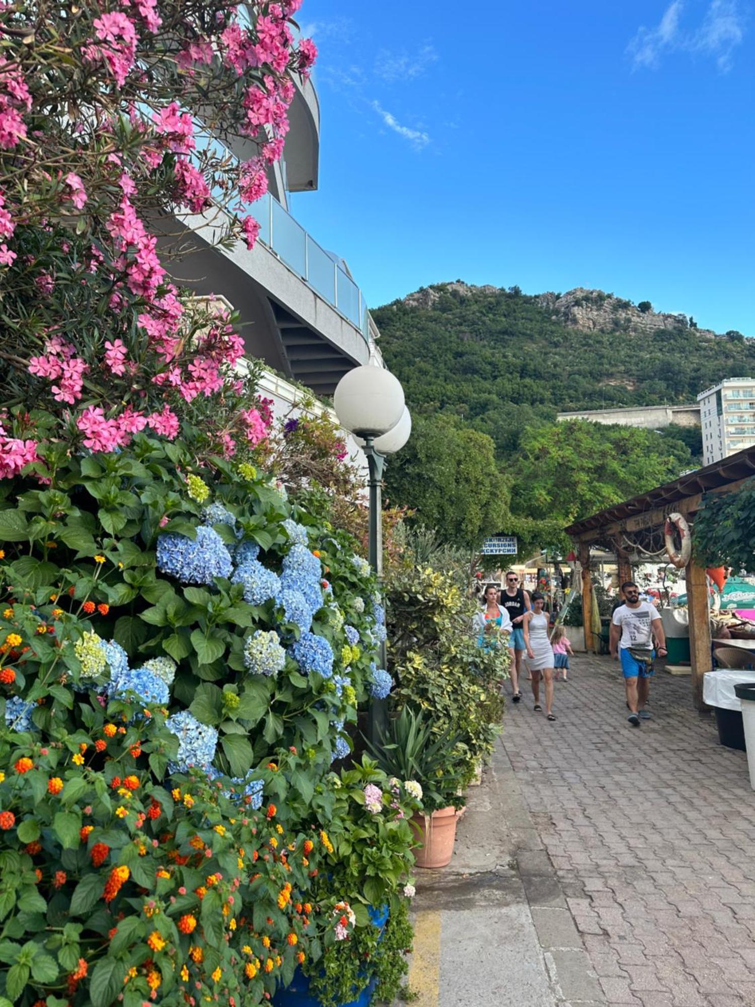 Apartmani Jedro Rafailovici Dış mekan fotoğraf